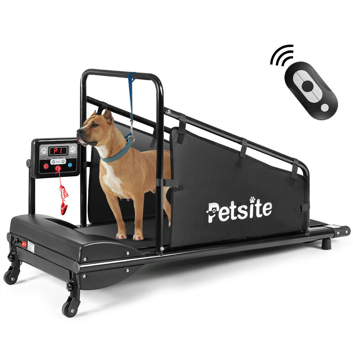 Pet treadmill